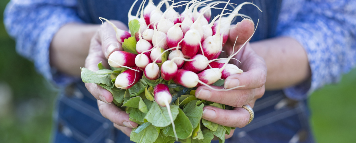 Müde? Mit angemessener Ernährung fit durch das Jahr!