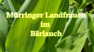 Landfrauen Mürringen im Bärlauch