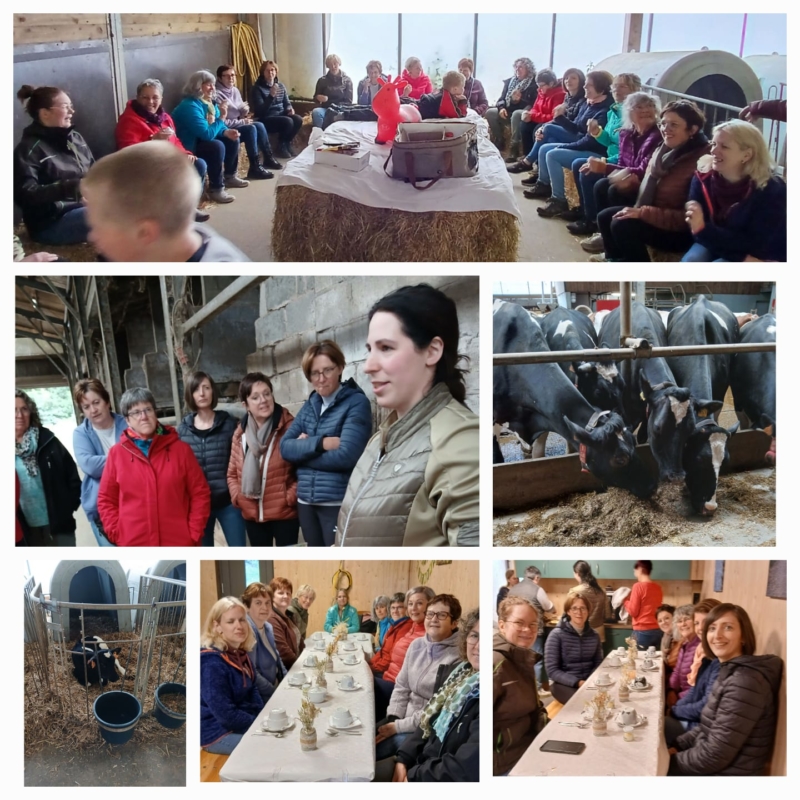 Gruppe Mackenbach bei Goffinet auf dem Bauernhof