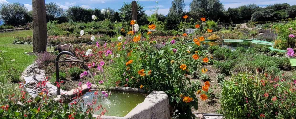 Heimische Stauden für den Garten mit Peter Freisen in Born