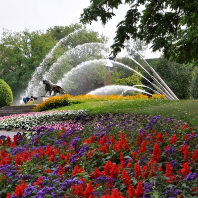 Verantsltungsbild - Ladies-Gartentour zum GRUGAPARK in Essen