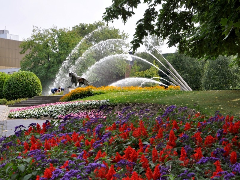 Verantsltungsbild - Ladies-Gartentour zum GRUGAPARK in Essen