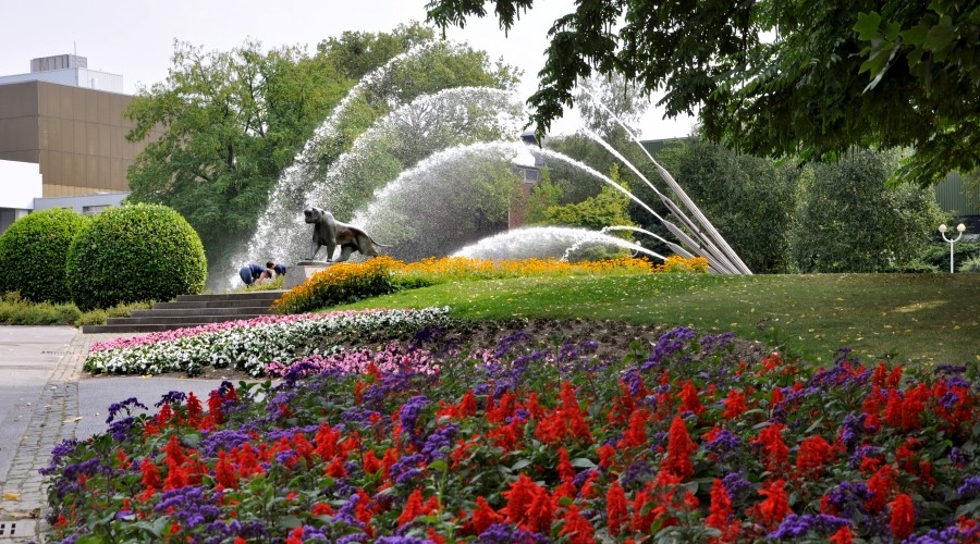 Ladies-Gartentour zum GRUGAPARK in Essen