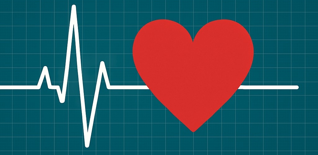 Dein Herz zählt – Hybrider Vortrag