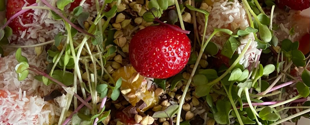 Sprossen & Microgreens – Frisches Grün im Winter für jede Küche