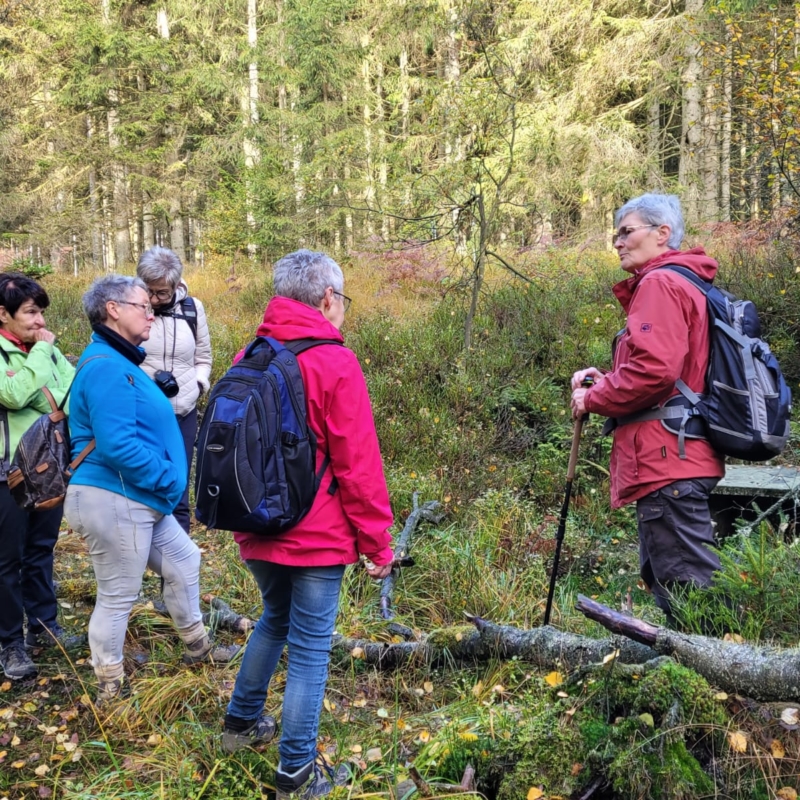Geführte Venn-Wanderung
