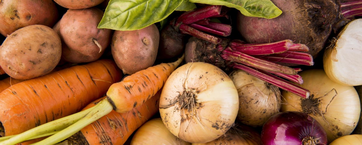 Alles Wurzel, oder was?!