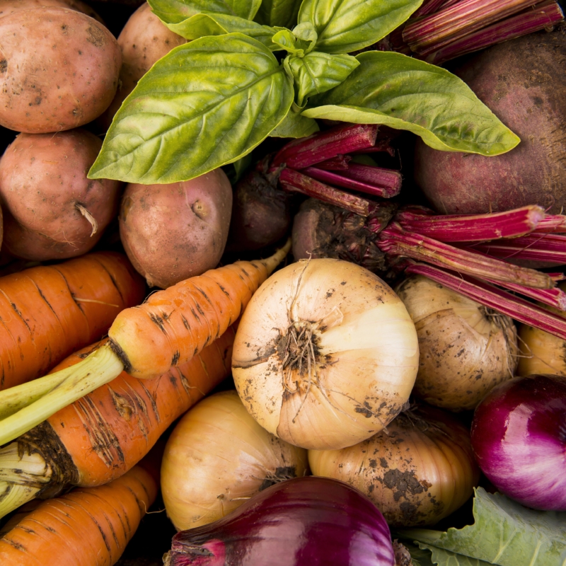 Verantsltungsbild - Alles Wurzel, oder was?!