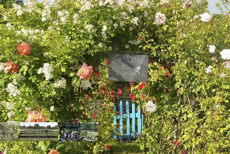 Verantsltungsbild - 4tägige Gartenreise nach Amiens (Frankreich)