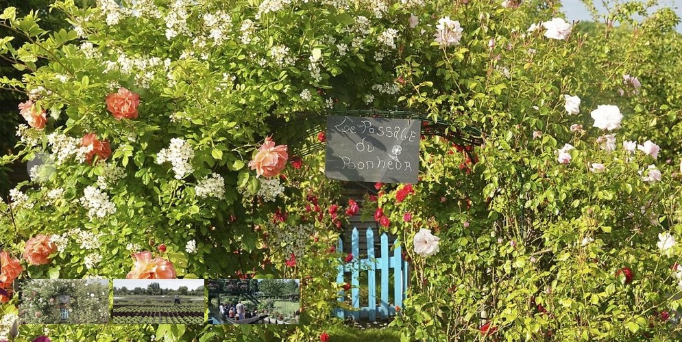 4tägige Gartenreise nach Amiens (Frankreich)
