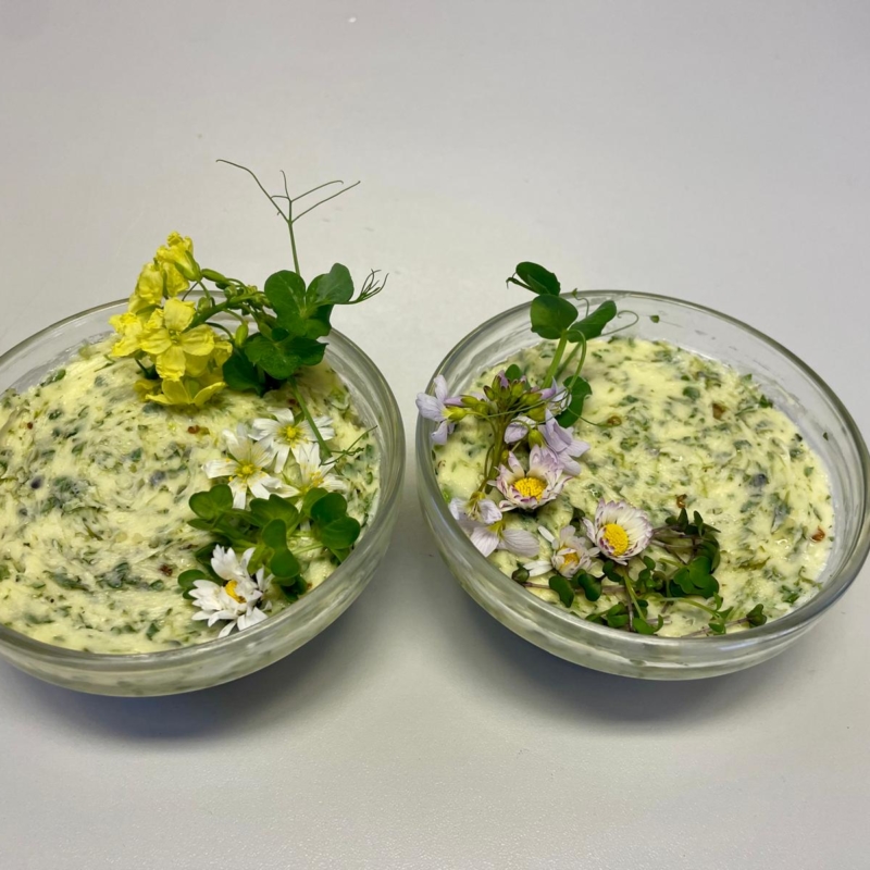 Gruppe Heppenbach: Kulinarische Reise in die Welt der Microgreens